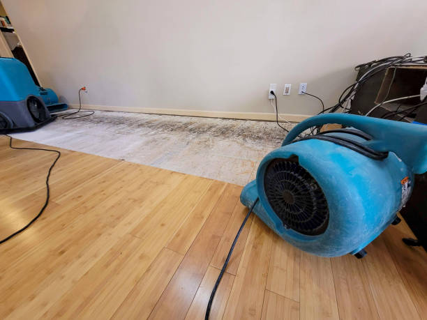 Professional Flood Damage Cleanup technician working in Kaneville, IL